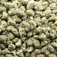 buy-weed-online-dispensary-dirty-mack-craft-popcorn.jpg 1