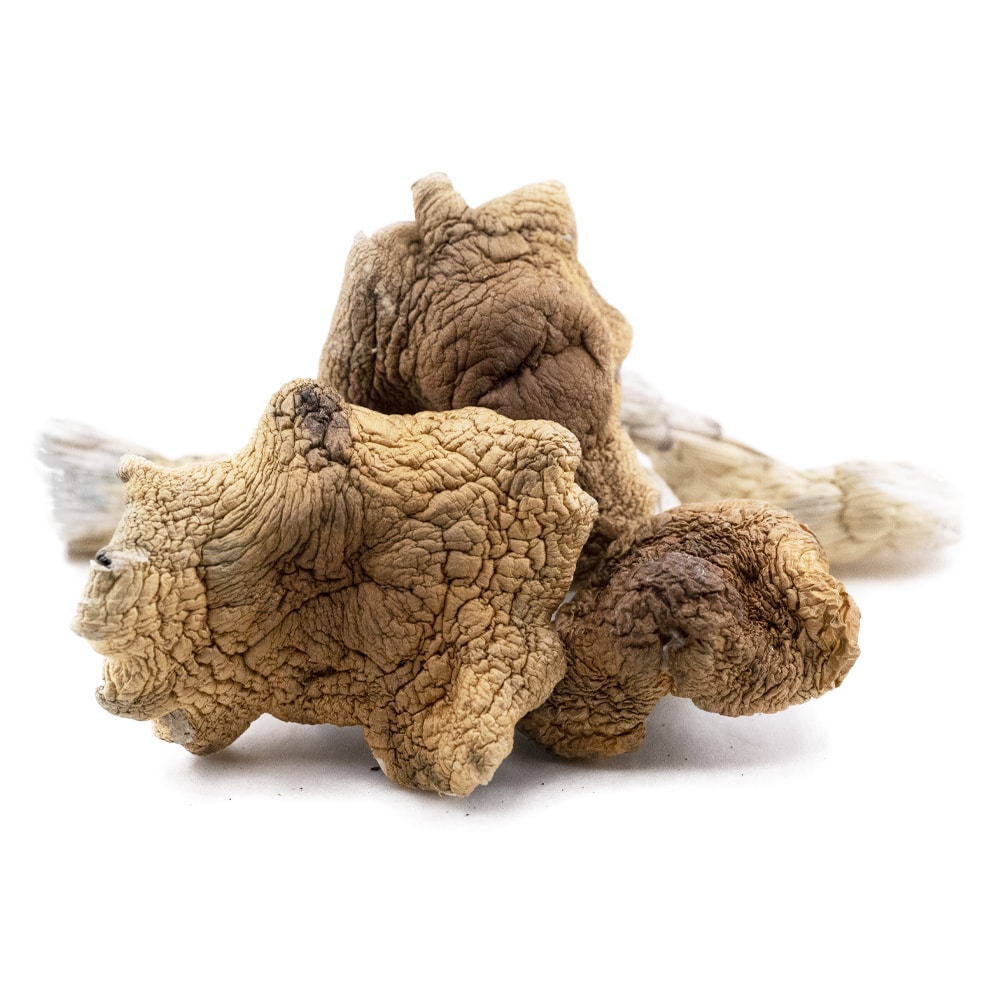 Shrooms - Malabar Magic Mushrooms