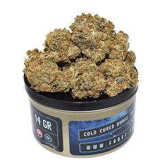 erasebg-transformed 1