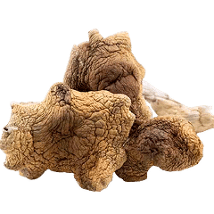 erasebg-transformed (2) 2